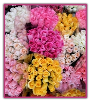 floristerias en colombia